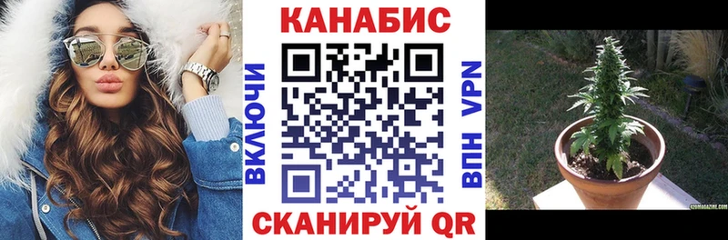 Какие есть наркотики Нолинск Кокаин  Марихуана  СК  Галлюциногенные грибы  Меф мяу мяу  ГАШИШ 