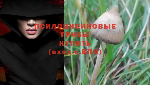 спиды Медногорск