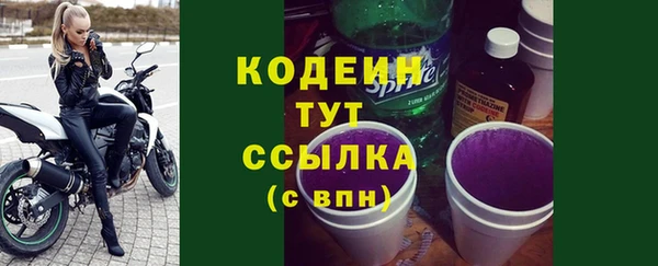 прущие грибы Медвежьегорск