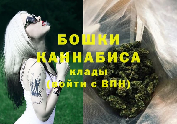 шишки Михайловск
