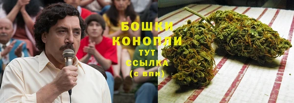 шишки Михайловск
